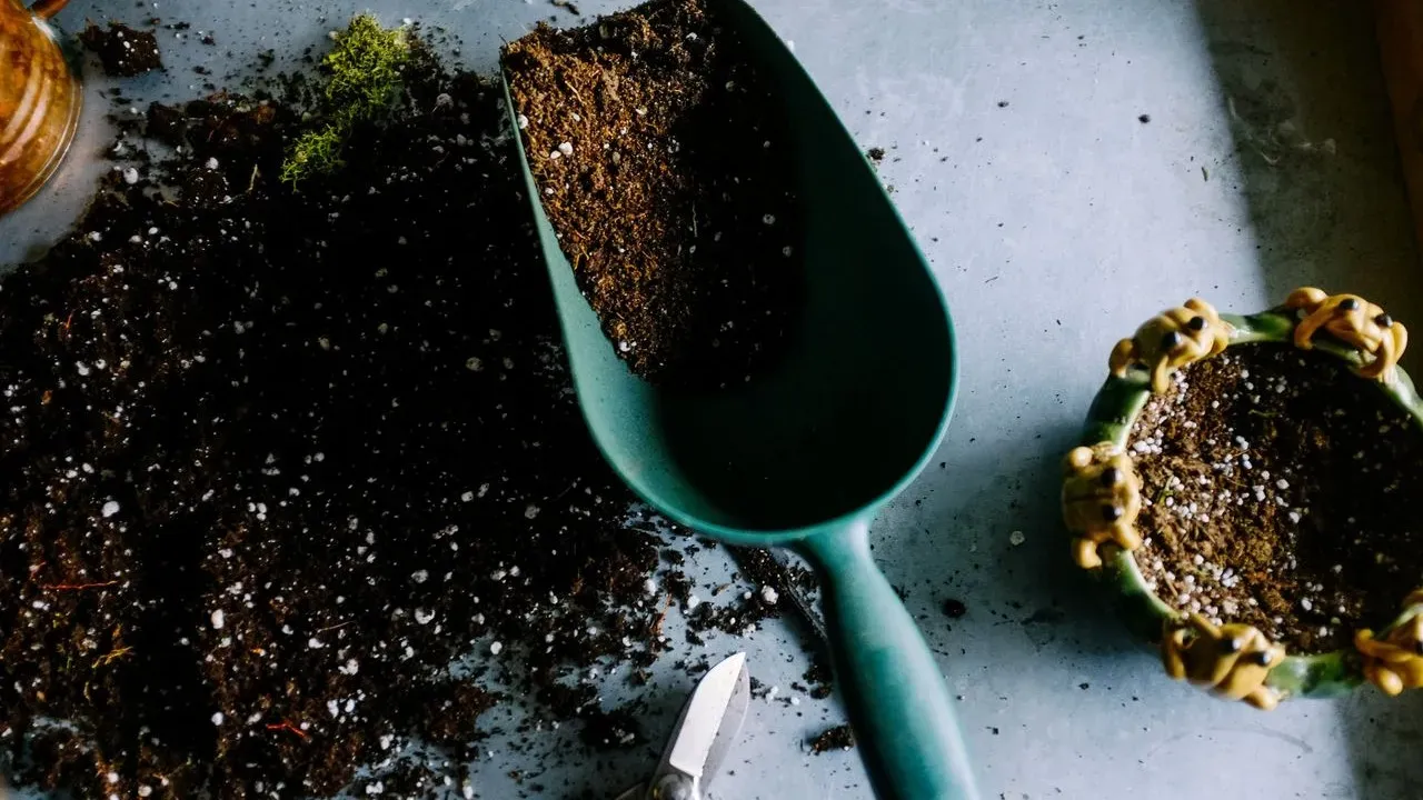 The Fall Harvest Secret: Why Smart Gardeners Are Starting Seeds Indoors Right Now