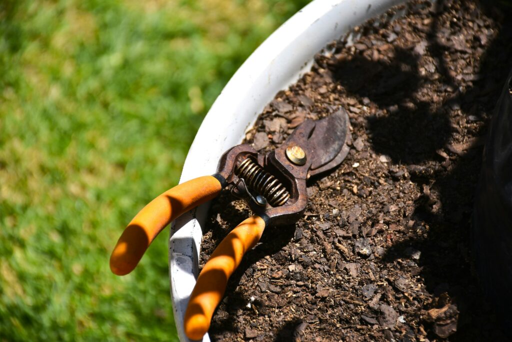 The Household Cleaner You Think Is Safe for Garden Tools That Actually Rusts Them - Featured image