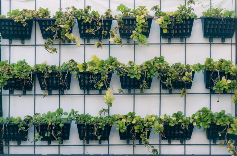 10 Garden Trends From the '70s That Actually Still Work Today - Featured image