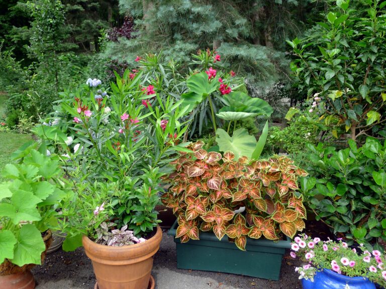 The Renter's Guide to a Garden You Can Take With You When You Move - Featured image