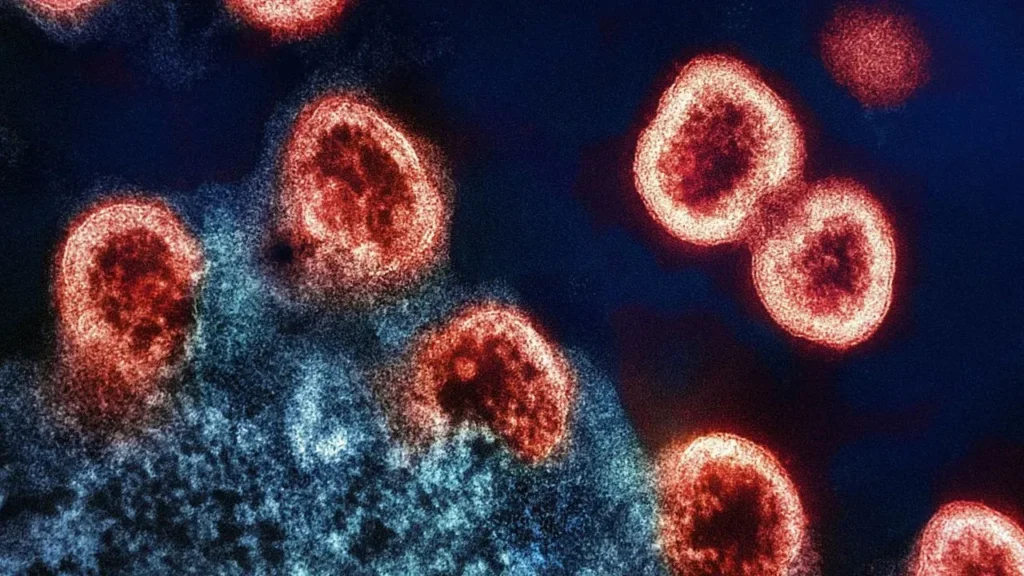 West Nile Virus Spreads at Its Fastest Pace in Two Decades, Alerting Southern California Gardeners - Featured image