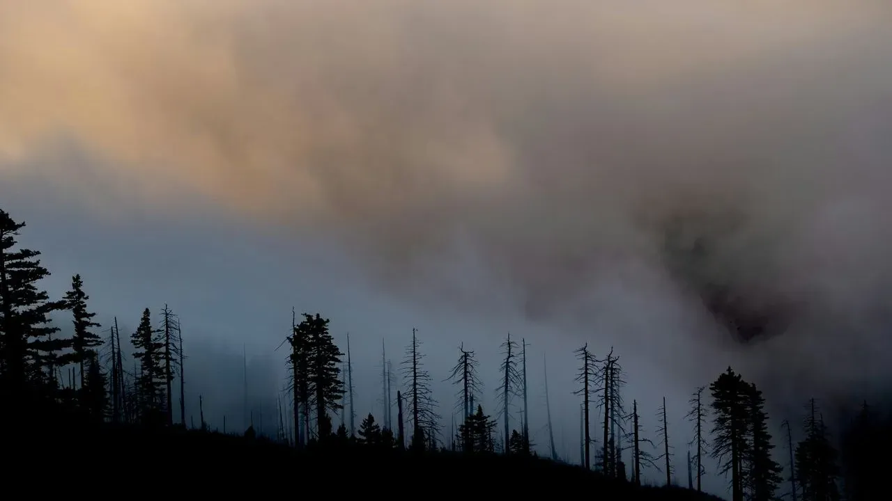 Pacific Northwest Wildfires Surpass One Million Acres, Clouding Gardens and Skies Across the Region