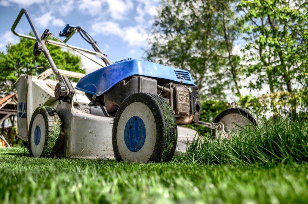 Why the Smell of Freshly Cut Grass Is Actually a Plant's Distress Signal - Featured image