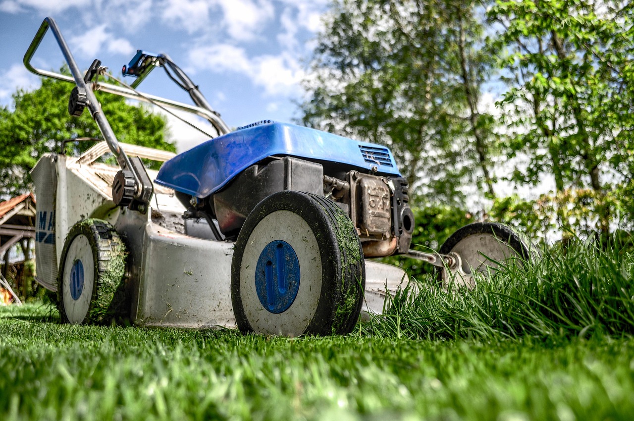 Why the Smell of Freshly Cut Grass Is Actually a Plant's Distress Signal