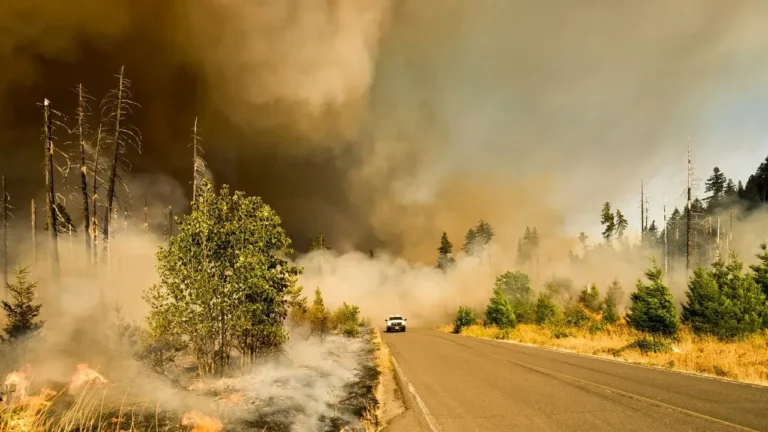 Ontario Wildfires Send Fresh Smoke Southward, Threatening US Air Quality - Featured image