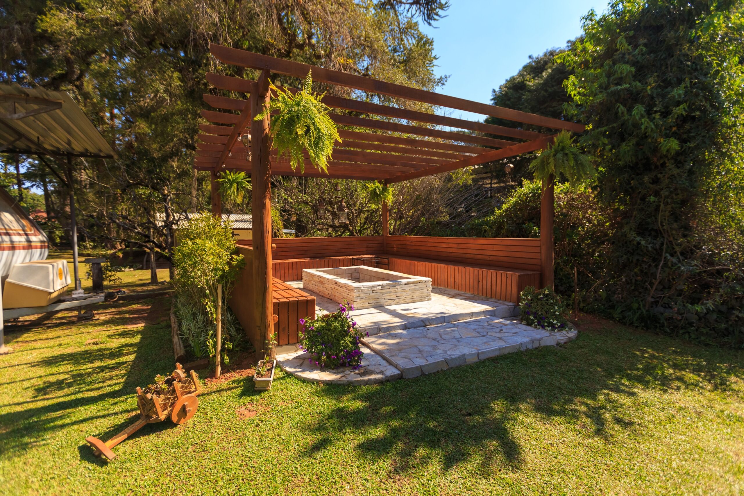 Beat The Fresno Summer: 5 Trees To Plant Now For The Backyard Shade You Need