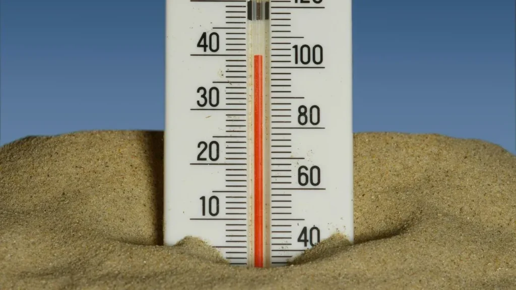 110 Degrees All Week: How Southern Nevada Gardeners Can Shield Plants From Prolonged Extreme Heat - Featured image