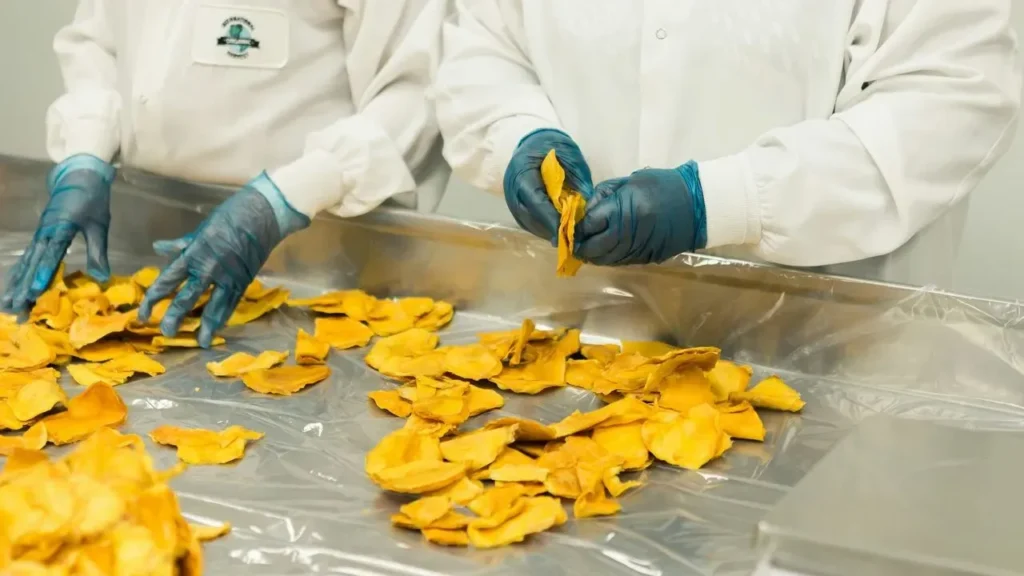 U.S. Ends Active Tracking of Foodborne Illnesses - Featured image