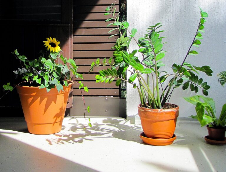 6 Apartment Balcony Crops That Outproduce a Full Backyard Plot - Featured image