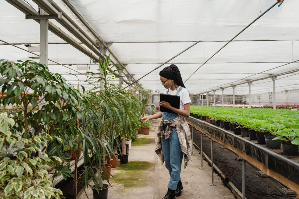 The 10-Minute Weekly Routine That Prevents Major Garden Diseases - Featured image