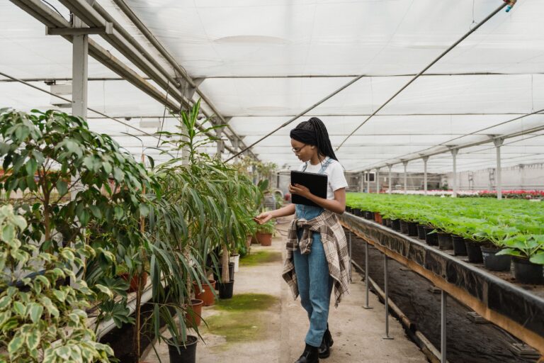 The 10-Minute Weekly Routine That Prevents Major Garden Diseases - Featured image