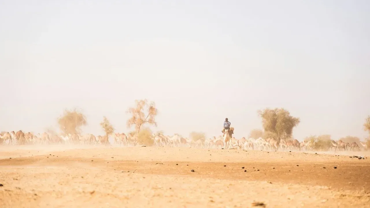 Saharan Dust and a Heat Dome Converge Over the South: What Gardeners Should Expect