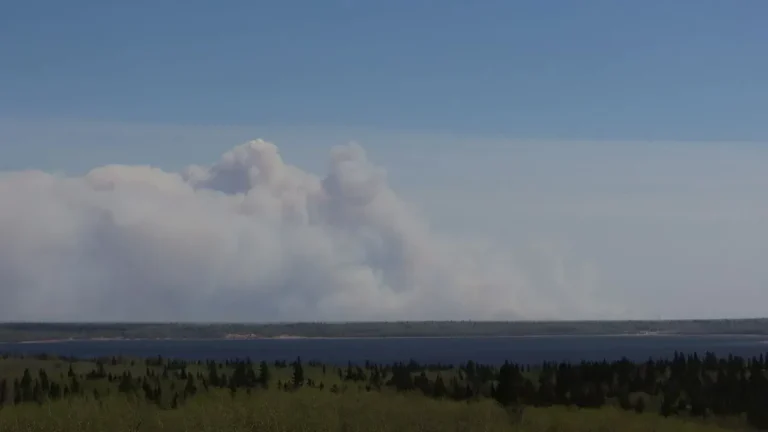 Canadian Wildfire Smoke Reaches U.S. Gardens, Prompting Trump Tariff Warning - Featured image