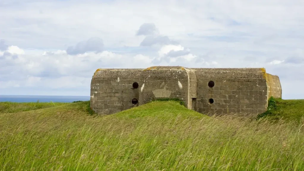 Family Uncovers WWII Bunker Under Garden Shed - Featured image