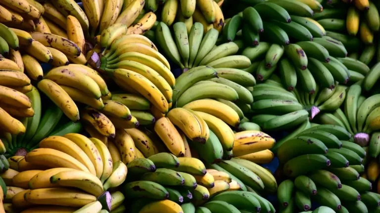 Banana Prices on the Rise: Climate Shifts, Disease, and Supply Strains - Featured image