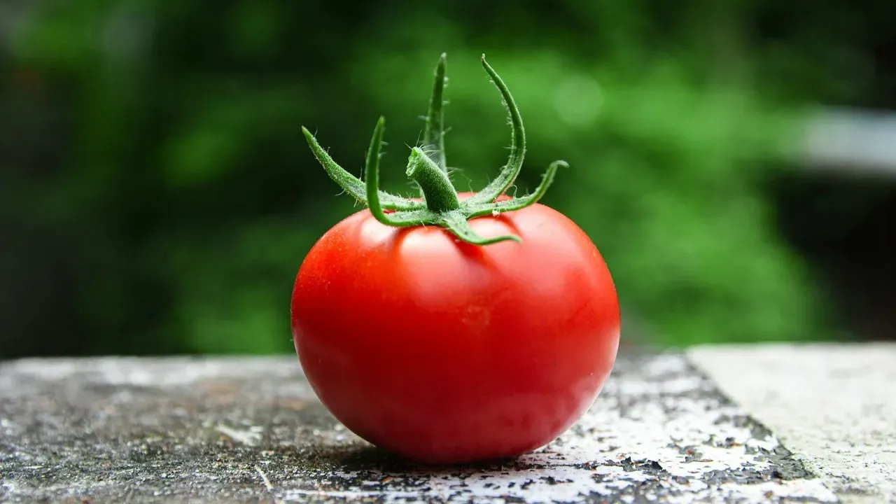 The Surprising Kitchen Scraps Gardeners Are Using to Grow Bigger, Juicier Tomatoes
