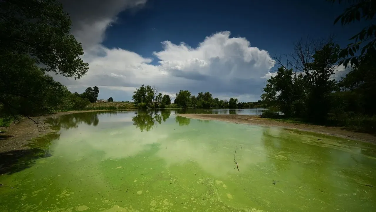 Lincoln Memorial Reflecting Pool Clears After Brief Algae Bloom Following $14.6 Million Renovation