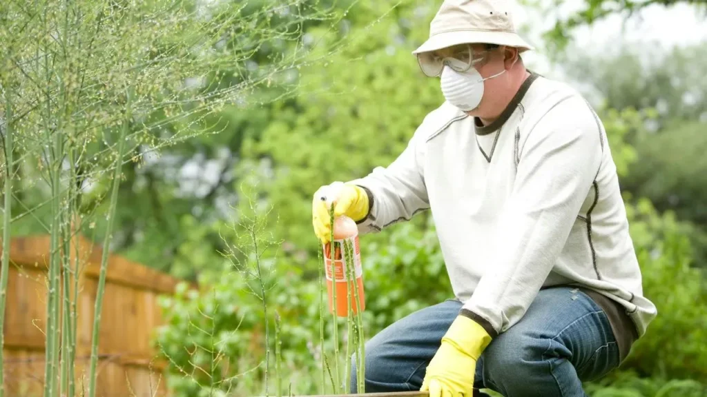 The One Lazy Trick That Keeps Garden Pests Away Without Daily Bug Patrol - Featured image