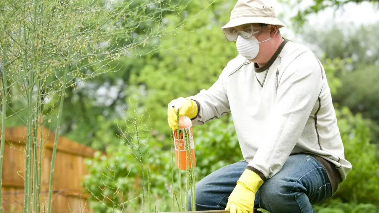 The One Lazy Trick That Keeps Garden Pests Away Without Daily Bug Patrol