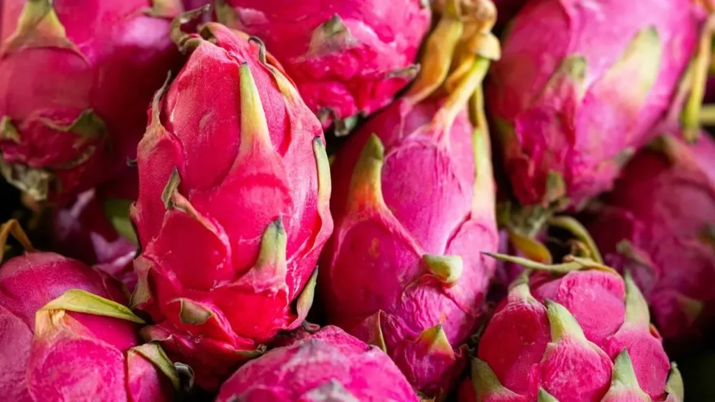 Grow Dragon Fruit Successfully at Home - Featured image
