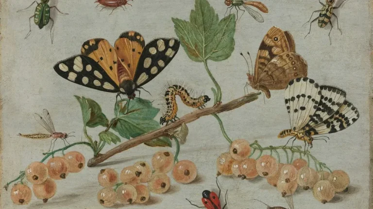 Garden Insects in Disguise: Why Some 'Pests' Are Worth Keeping - Featured image