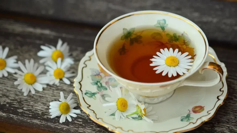 The Free Garden 'Tea' That Feeds Your Plants and Fights Disease - Featured image