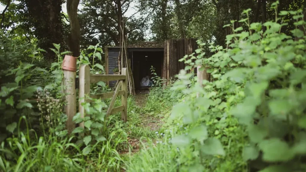 Overgrown by Midsummer: Reclaiming Control of a Pacific Northwest Garden - Featured image