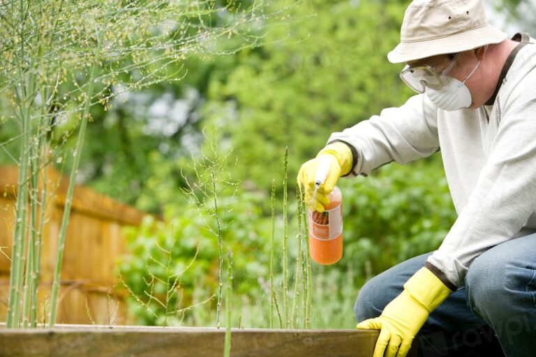The Two Garden Sprays You Should Never Store on the Same Shelf - Featured image