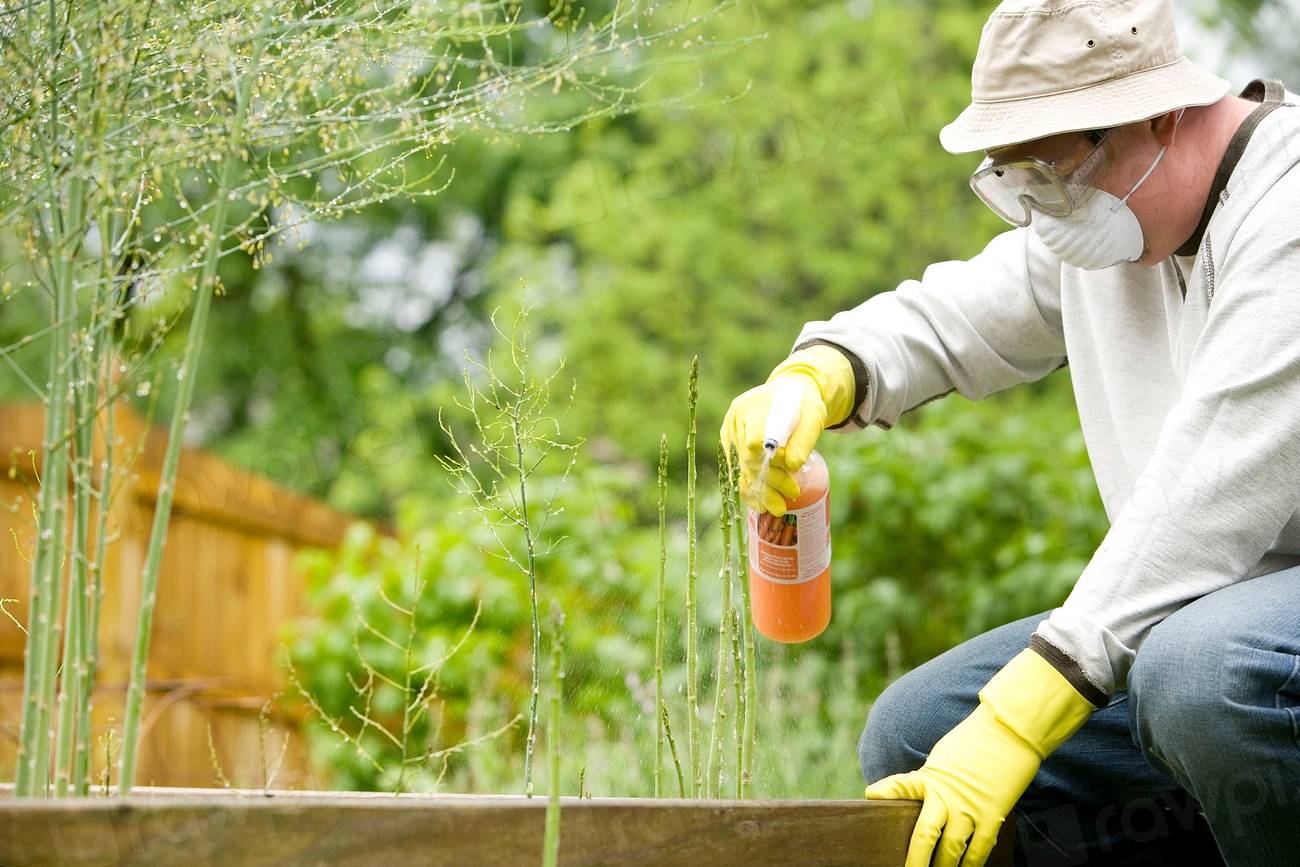 The Two Garden Sprays You Should Never Store on the Same Shelf