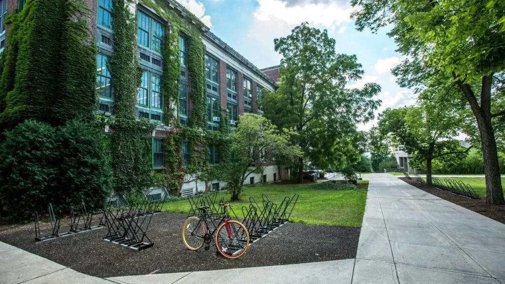 Philadelphia Elementary School Transforms Neglected Grounds into Pollinator Habitat - Featured image