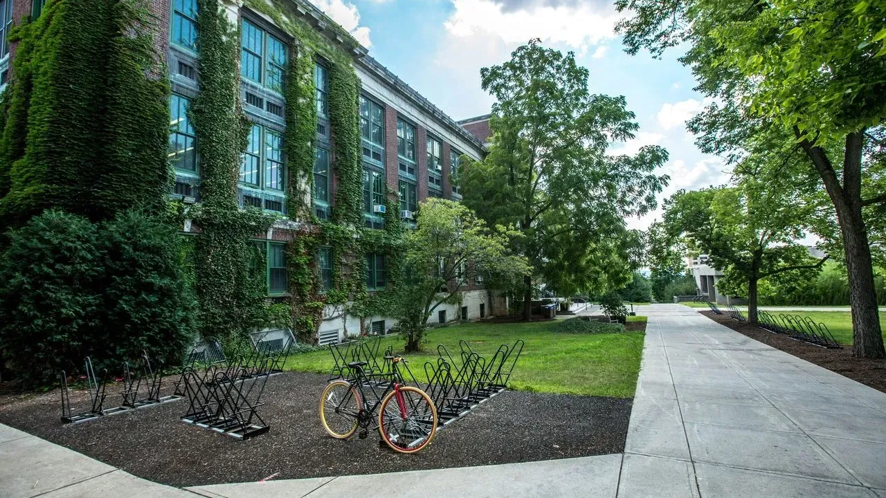 Philadelphia Elementary School Transforms Neglected Grounds into Pollinator Habitat