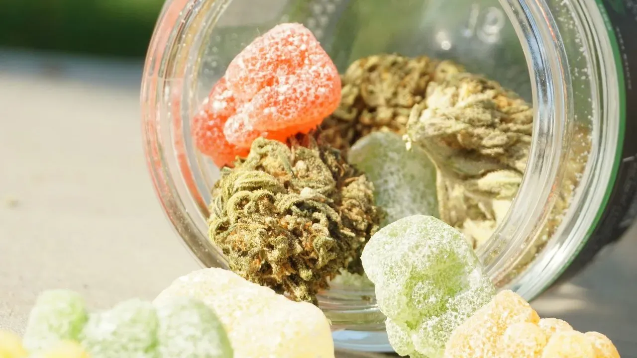 Daily Heart Tracking Reveals Counterintuitive Pattern in Cannabis Users