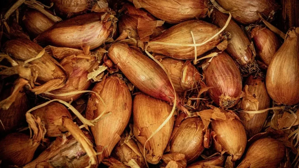 The Onion and Garlic Trick Every Cook Needs - Featured image