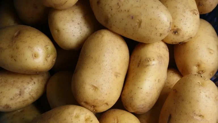 How Long Can Homegrown Potatoes Really Last? 4 Storage Methods Compared - Featured image