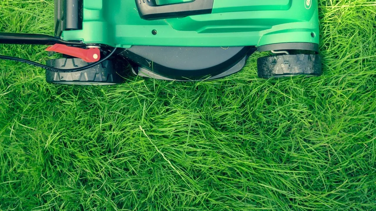 Trump Says He's 'Very Good at Grass'