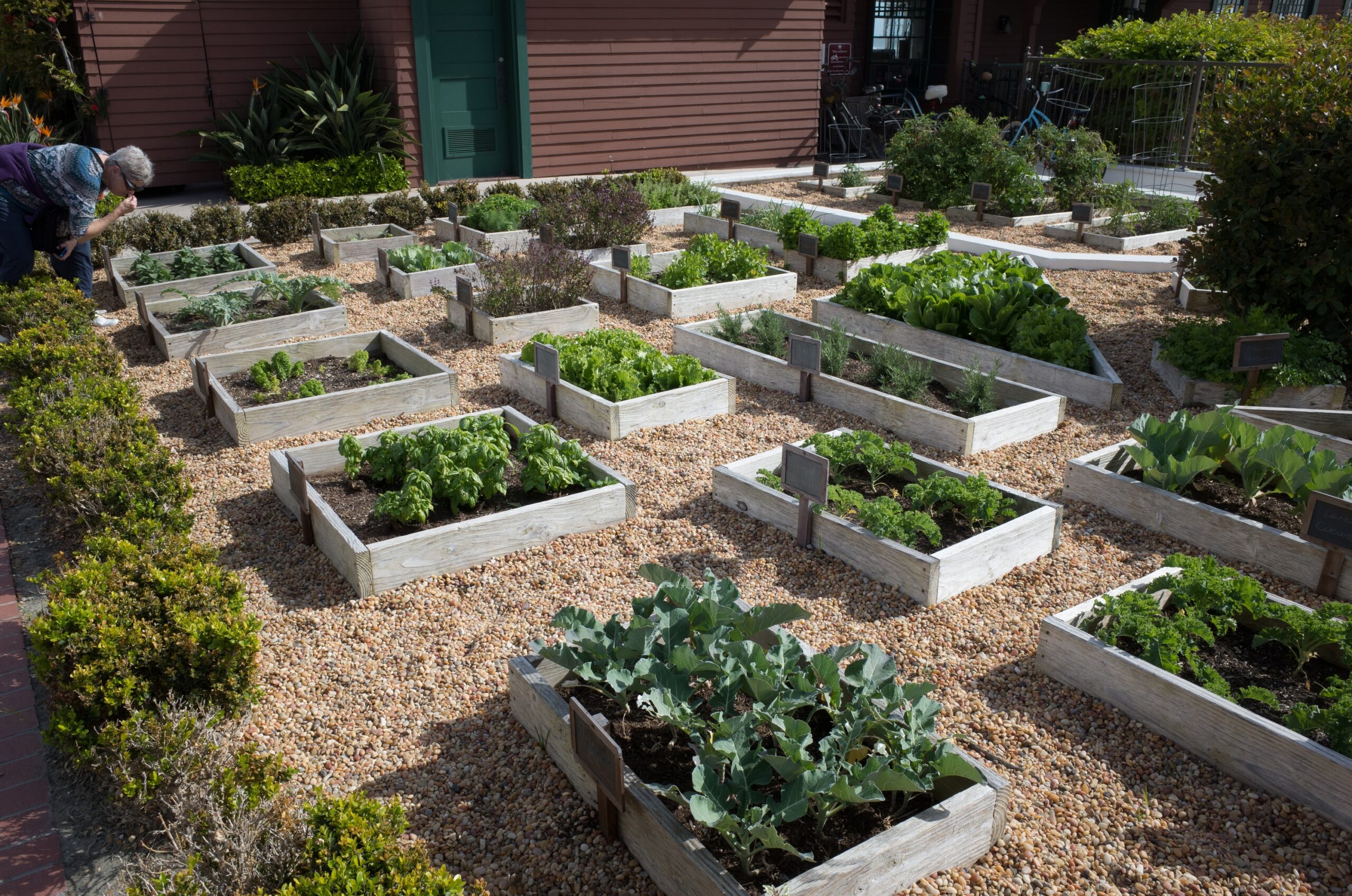 The Farmhouse Herb Garden Layout That Never Went Out of Style