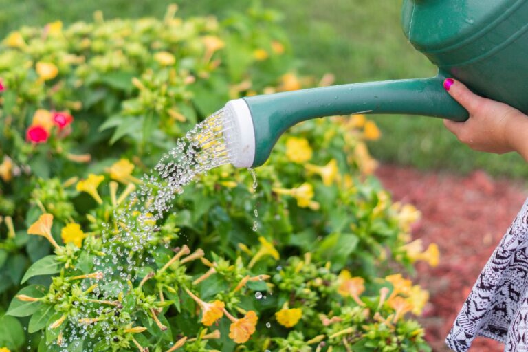 The Garden Hose Nozzle Setting That Wastes the Most Water Without You Noticing - Featured image