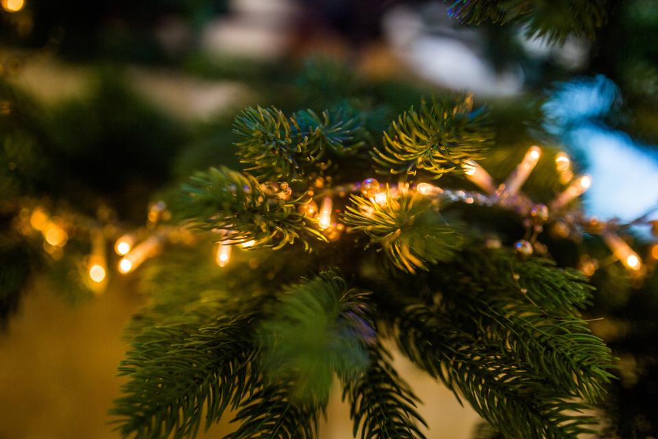 Why Christmas Tree Fires Spike in the Exact Same Week Every Year - Featured image