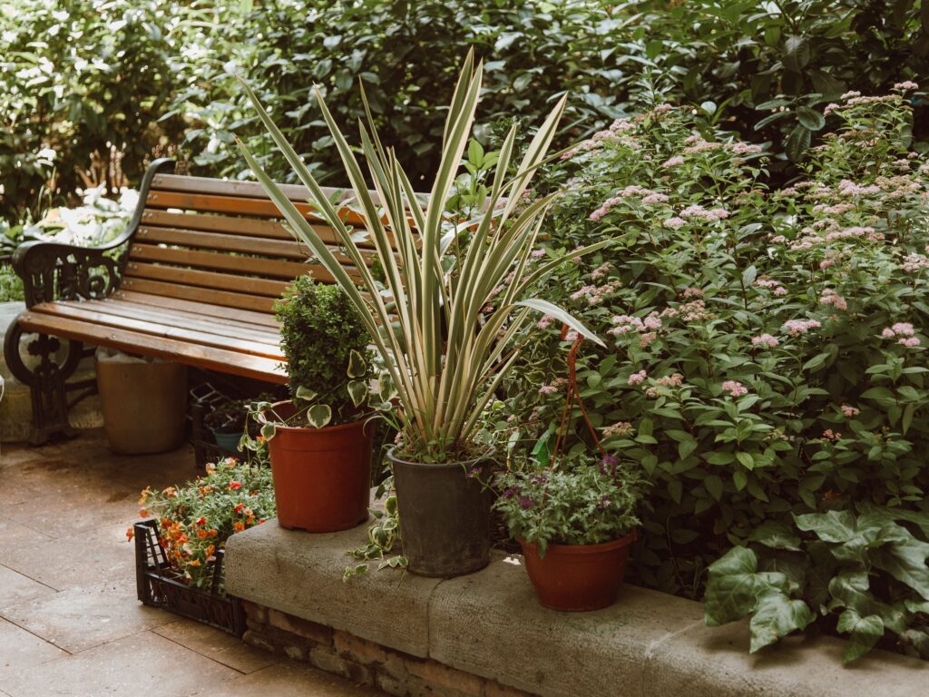 I Let AI Redesign My Backyard From Scratch – The Results Surprised Me - Featured image