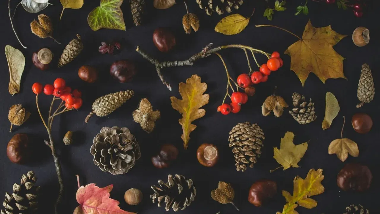 Printable Riddles Turn Autumn Walks into Games