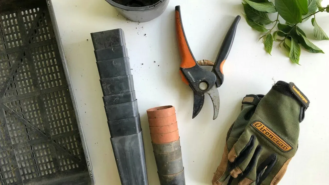 Insider Picks: Tools That Streamline Fall Garden Cleanup