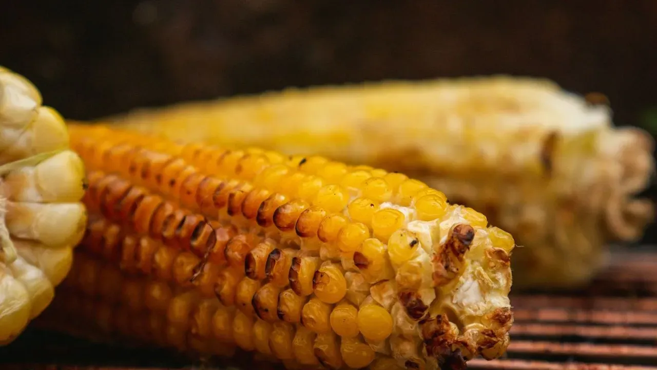 Grill Fresh Garden Corn for Elotes