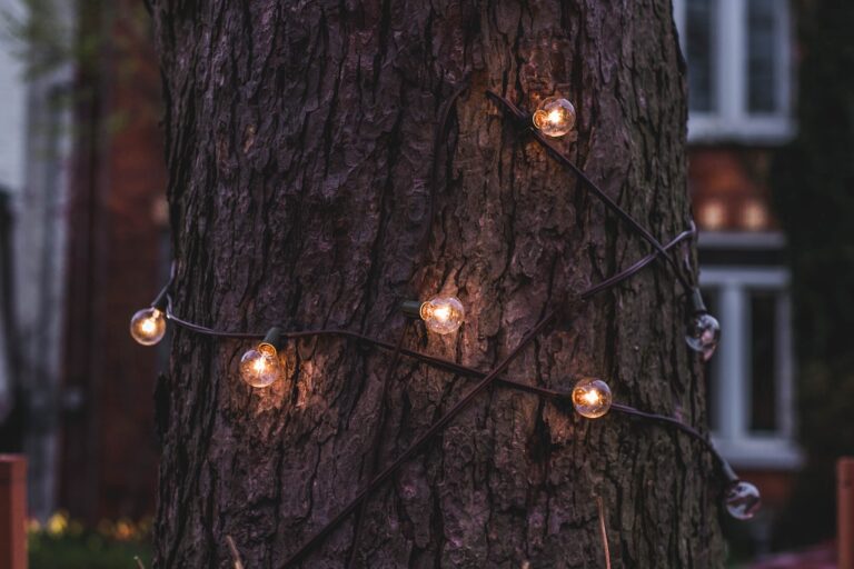 The Bark Collar Mistake That Slowly Chokes Young Trees - Featured image