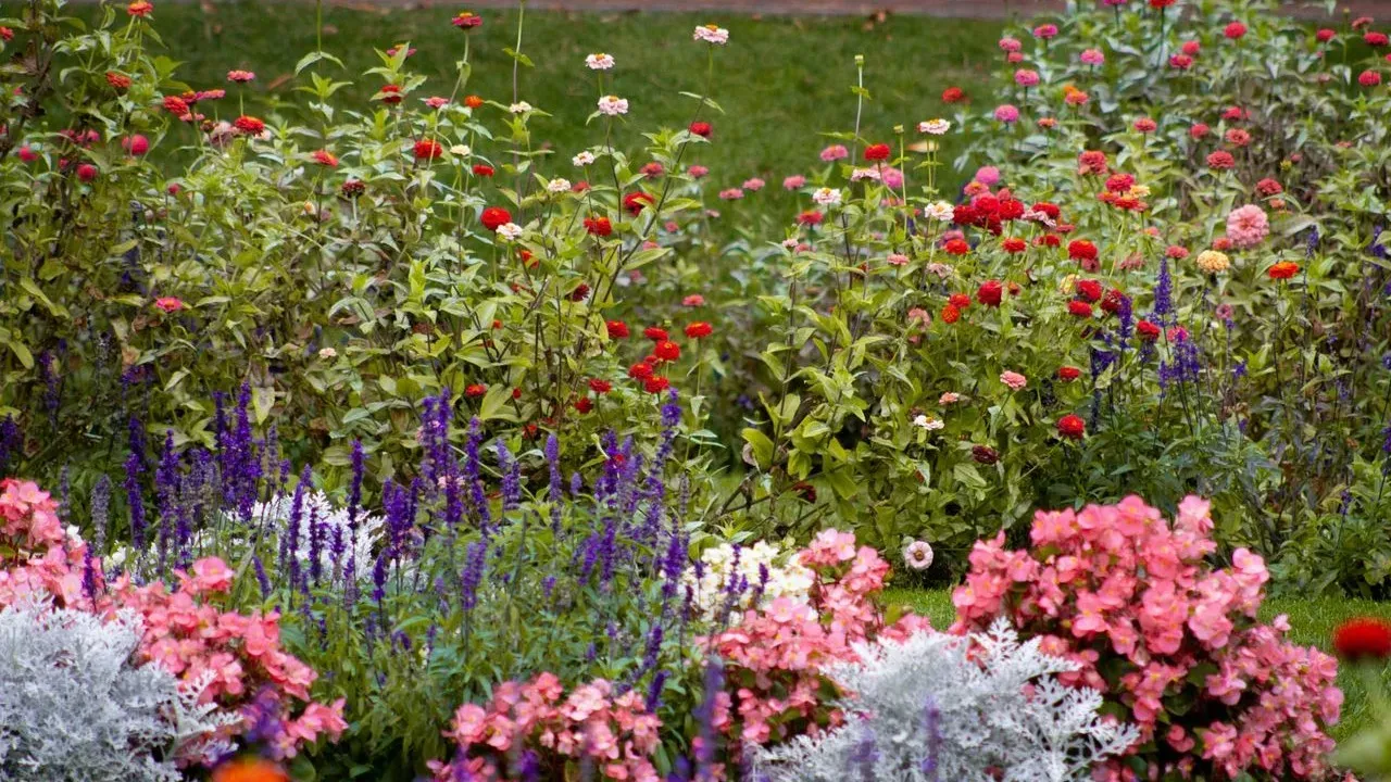 The August Decision That Secures Fall Crops
