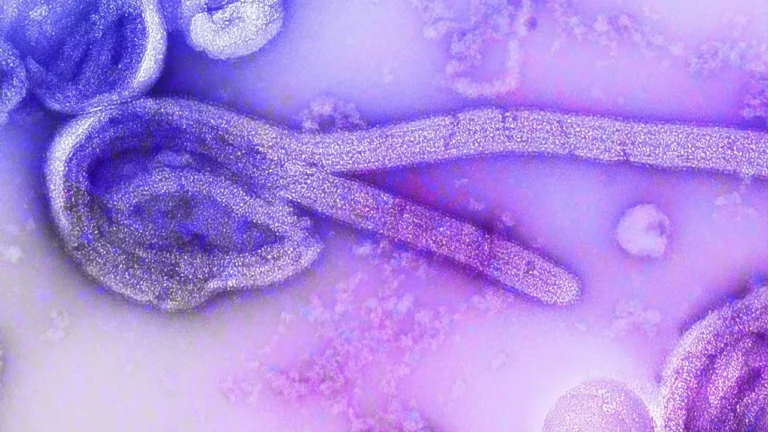 Scientists Push Garden Parasite for Neglected Status - Featured image
