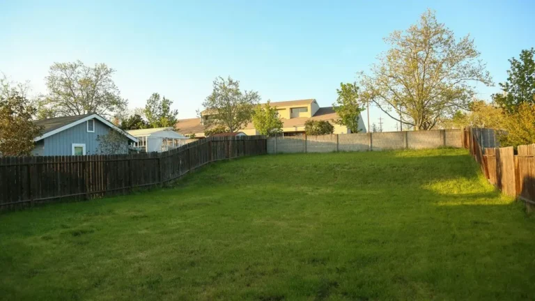 Why Dog Owners Are Choosing Grass-Free Backyards - Featured image