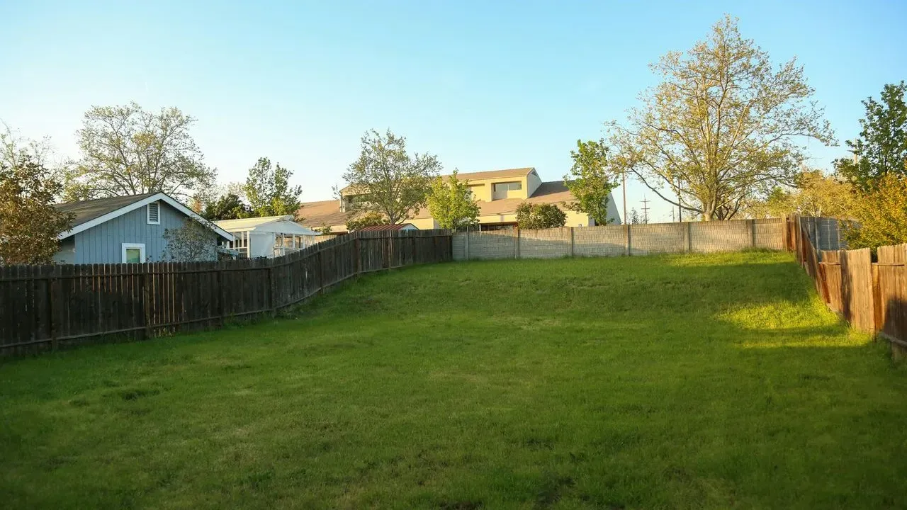 Why Dog Owners Are Choosing Grass-Free Backyards