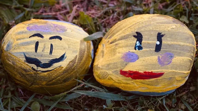 Painted Rocks Transform Gardens for Halloween - Featured image