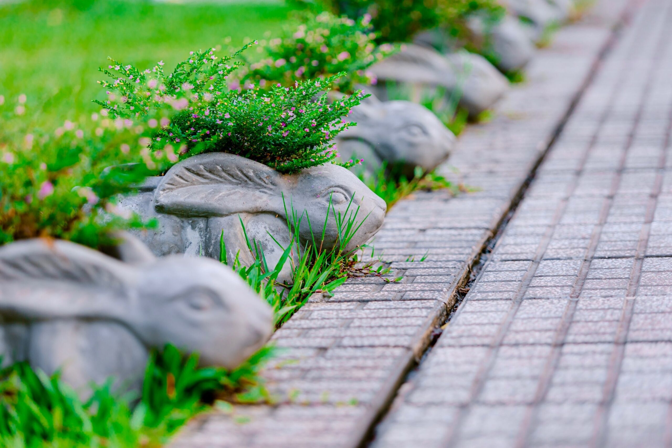 The Common Edging Mistake That's Quietly Letting Grass Invade Your Beds