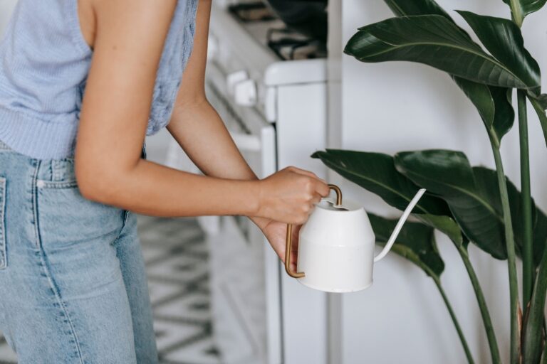The Watering Amount Most Gardeners Get Wrong Every Time - Featured image